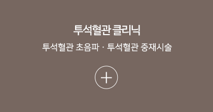 투석혈관